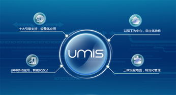 上?；ヂ摼W軟件集團 高端協同管理軟件產品和咨詢服務提供商